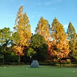 デイリー瑞浪ゴルフクラブレストラン - 