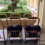 東京ディズニーランドホテル - 