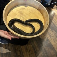 炭焼鰻 寝床 福島店 - 