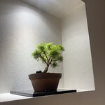 焼鳥さむしん そのに - 