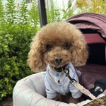 クッチーナ デル カンポ - シェリ