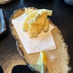 ホテル アナガ - 