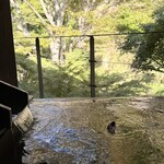 SHINRA YORO VALLEY - 