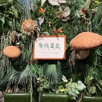 Shangri-La’s secret 表参道店 - 