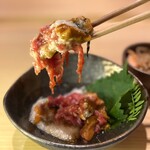 モリタ雲丹五郎 - 