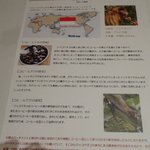 アバ - コピ・ルアクの説明