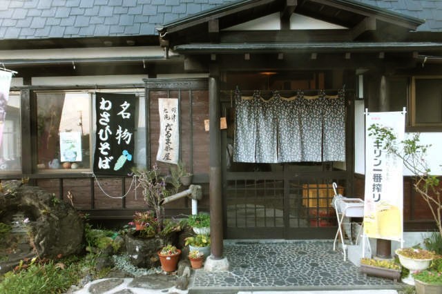 だるま茶屋 name=