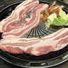 韓国酒場マショマショ