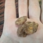 サンマルクカフェ - 