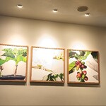 スターバックス・コーヒー - 