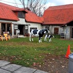 ウエモンズ ハート - 