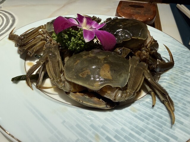 Ten Tan Ginza Hon Ten photo 4