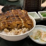 うなぎ家　はせ川本店 - 