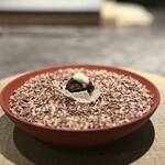 パルコ フィエラ - 