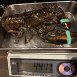 海老料理専門 プラウン＆ロブスターバー えびっとる - 