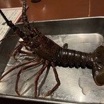 海老料理専門 プラウン＆ロブスターバー えびっとる - 
