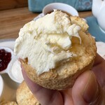 フィトンチッドティーアンドコーヒー - 