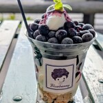 道の駅かよう - 