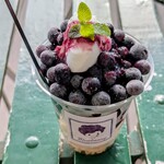 道の駅かよう - 