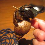 きらら - ツブ貝の旨煮