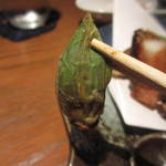 きらら - ふきのとう