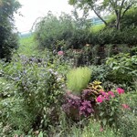 シークレット レストラン カメ - 