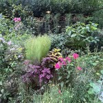 シークレット レストラン カメ - 