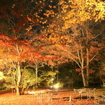 Hoteru Kajima No Mori - 夕食後、テラスにて撮影。静かで風にゆられながらひらひらと舞い落ちる葉を眺めながら寛ぐ