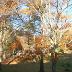 ホテル鹿島ノ森 - 翌朝、部屋からの景色