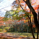 Hotel Kajima no Mori - 開放的なテラス。自然に包まれた空間はイメージ通りの軽井沢。