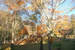 ホテル鹿島ノ森 - 翌朝、部屋からの景色