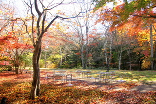 ホテル鹿島ノ森 - ブレックファーストの後、テラスで撮影