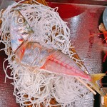 徳多屋 - アジの姿造り