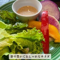 シャイニーアウル 表参道 - 