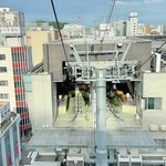 支那そば 王王軒 - 