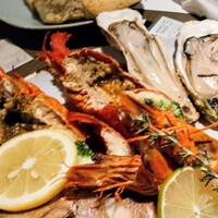 COLONIAL BEACH 横浜ハンマーヘッド - 