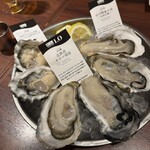 カーブ・ド・オイスター - 