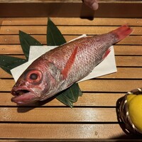 のどぐろ専門 銀座 中俣 - 