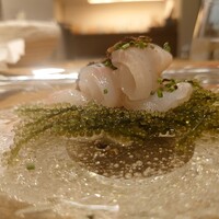 Grand Bleu Gamin - 海葡萄に囲まれた平目とトリュフのカルパッチョ