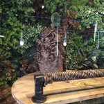 フクロウカフェクルー - 