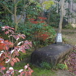 ふく蔵 - ふく蔵