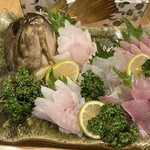 大翔 - 頭から時計まわりに、シマゾイ、ニシン、イナダ、八角、ヒラメ