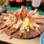 真夜中の太陽 - 海老カーニバル