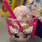 サーティワンアイスクリーム - 料理写真:ダブル スモール510円