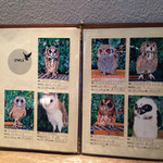 フクロウカフェクルー - 