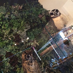 フクロウカフェクルー - フクロウを眺めながら❤︎