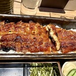 うなぎ四代目菊川 - 蒲焼一本重