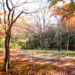 Continental Room - 自然に包み込まれる軽井沢らしいテラス