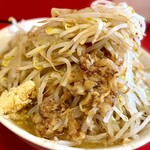 ラーメン - 並豚②(ニンニクアリ、アブラカラメマシ)