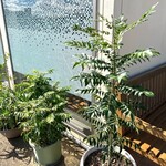 Sri Lanka Restaurant MATARA